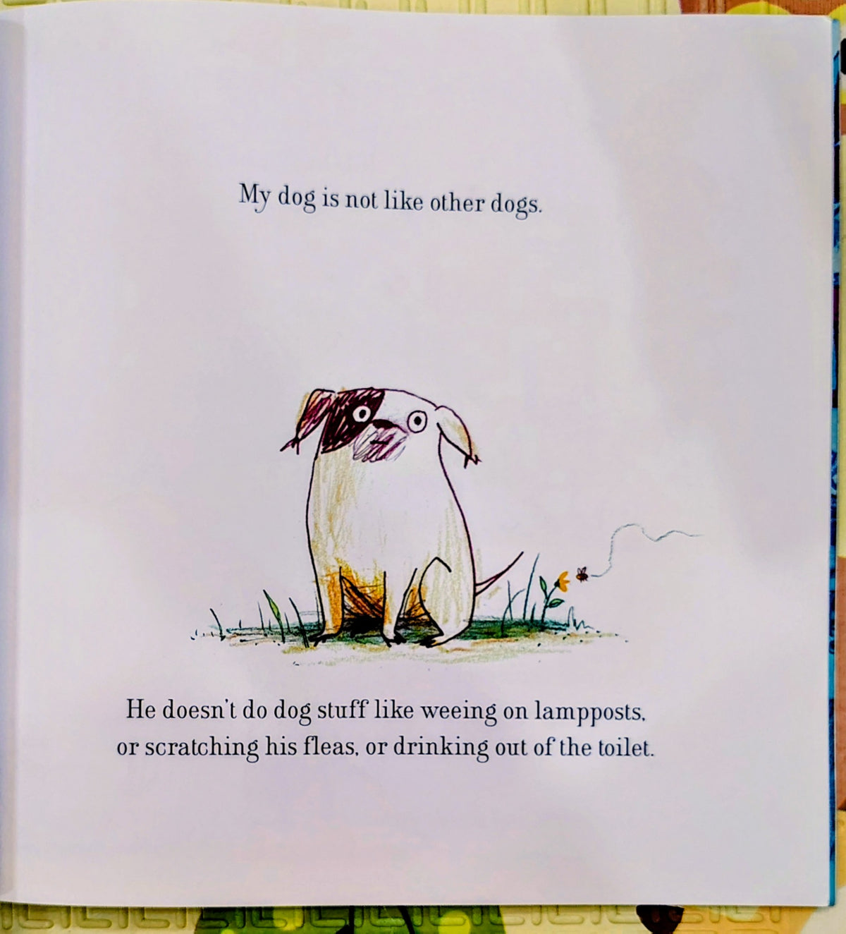 Dogs Don't Do Ballet by Anna Kemp | Simon Schuster