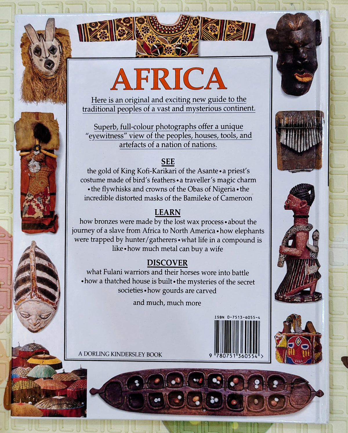 Africa by Yvonne Ayo | DK Eyewitness | Non-Fiction