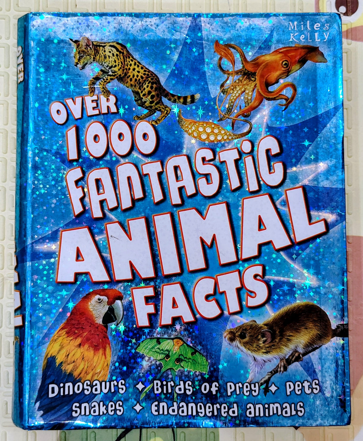 Over 1000 Fantastic Animal Facts by Miles Kelly | Non-Fiction