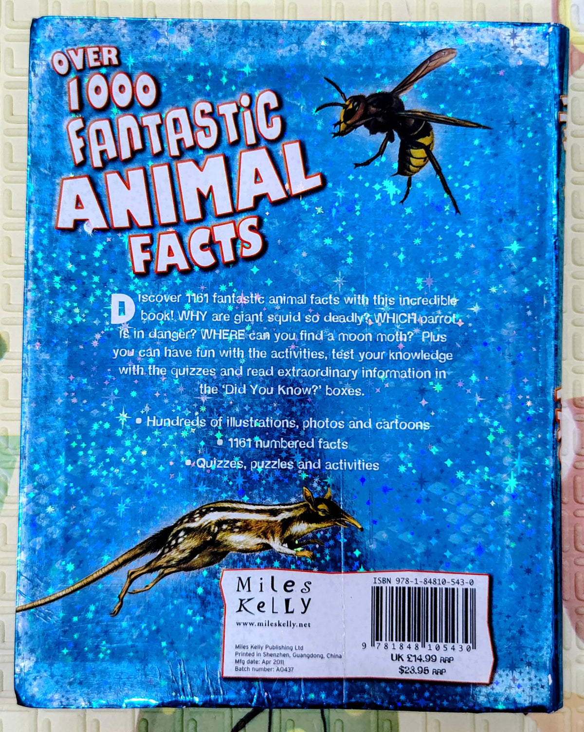 Over 1000 Fantastic Animal Facts by Miles Kelly | Non-Fiction