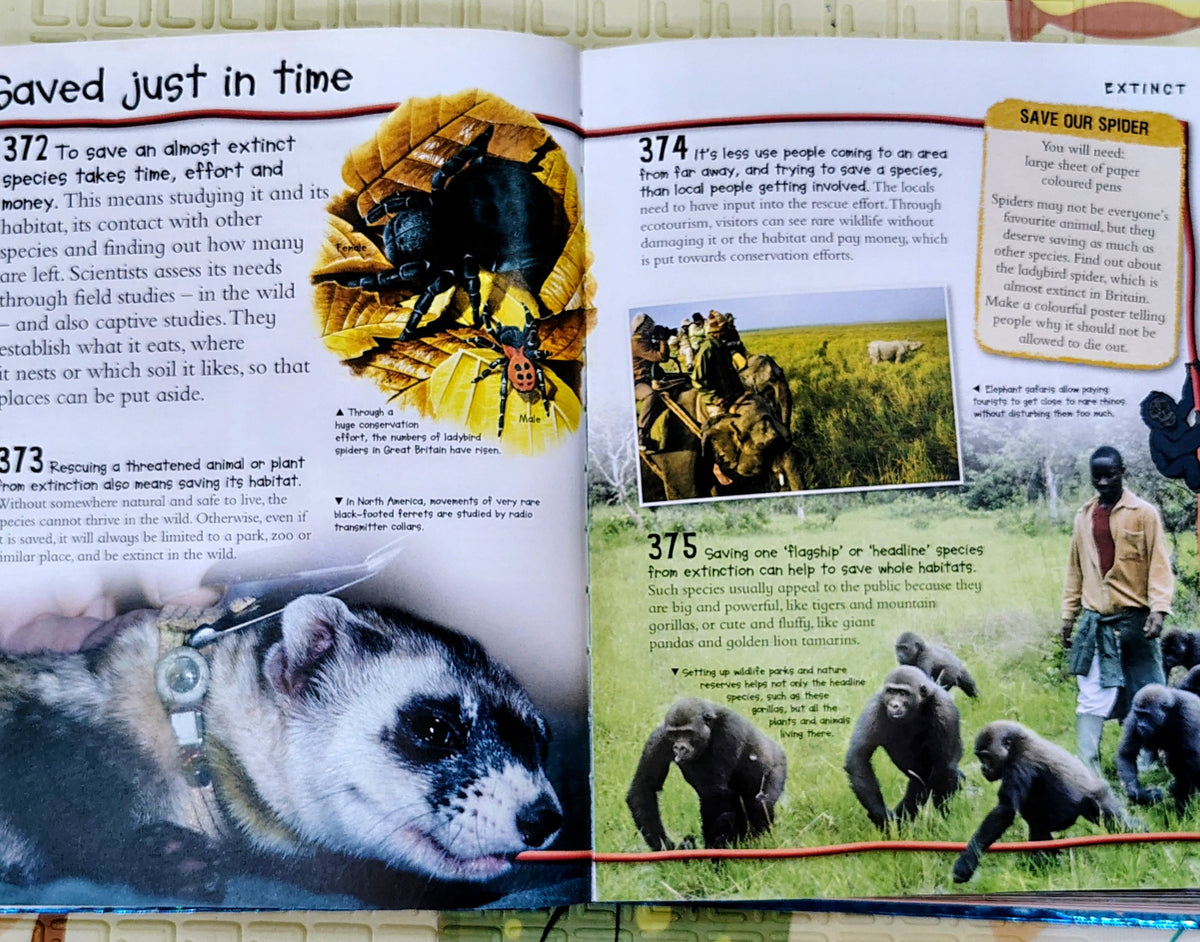 Over 1000 Fantastic Animal Facts by Miles Kelly | Non-Fiction
