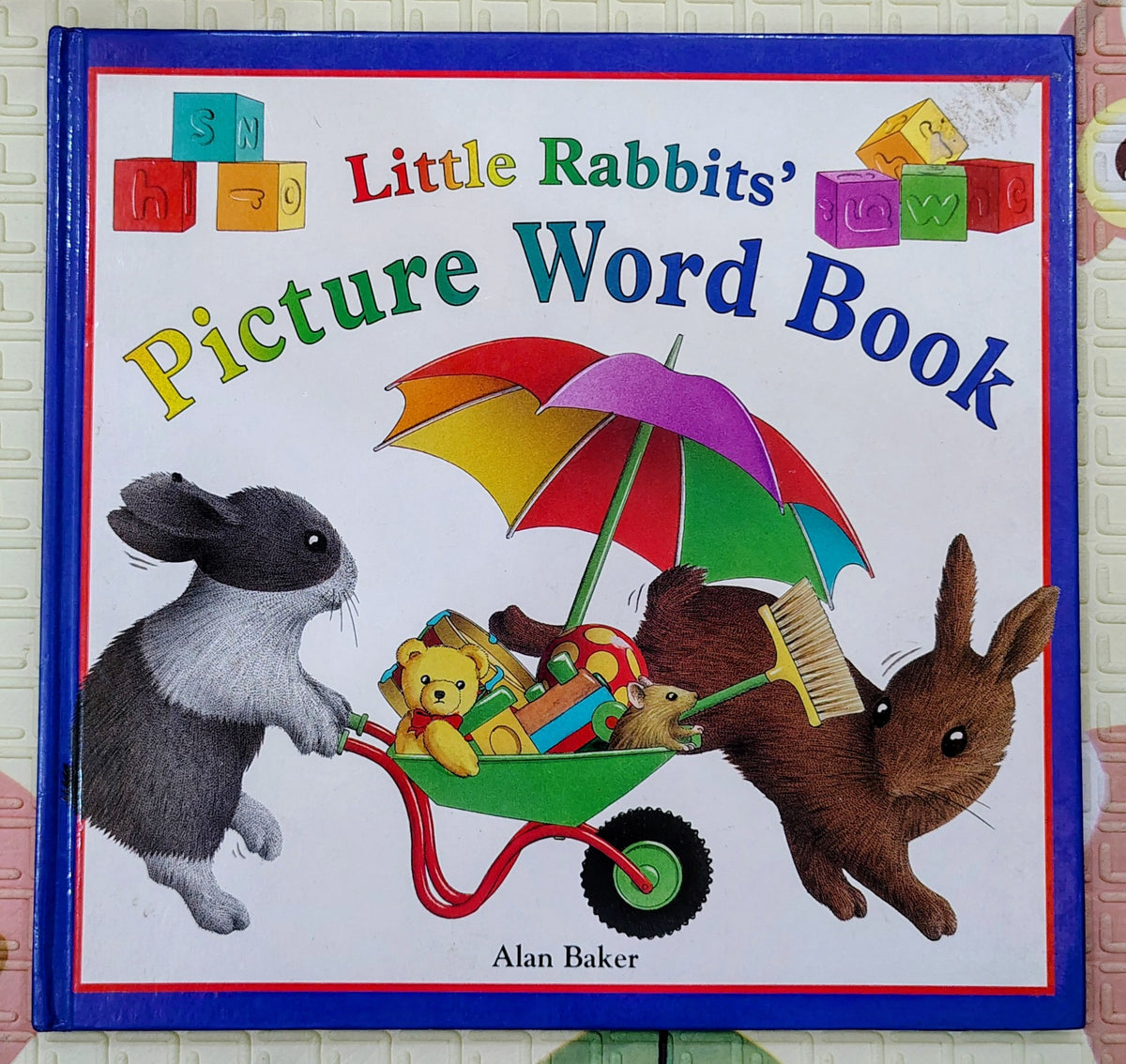 Little Rabbits' Picture Word Book by Alan Baker | Early Learning
