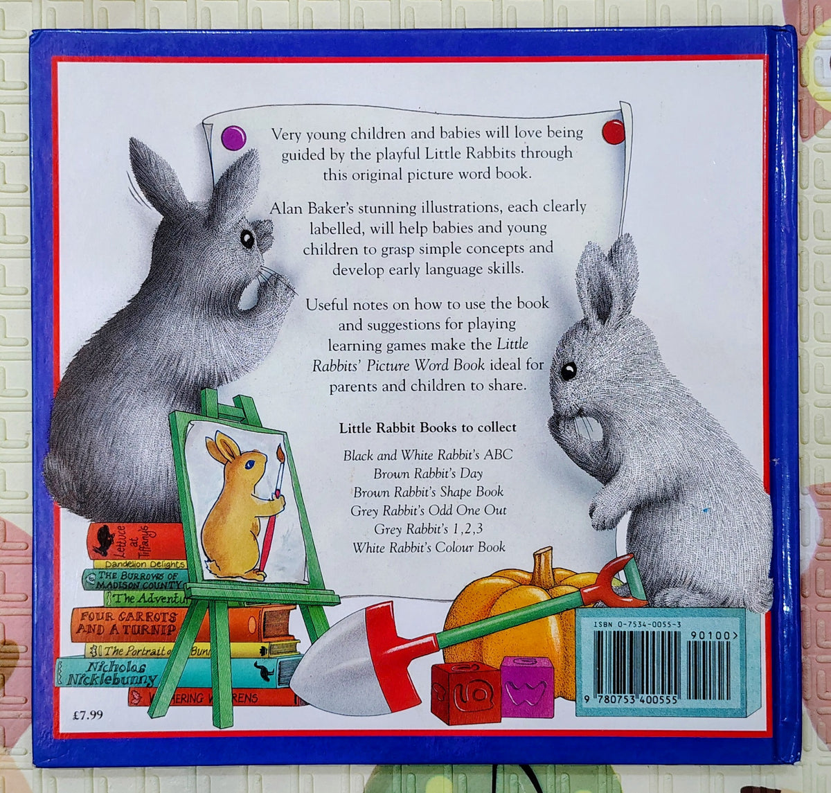 Little Rabbits' Picture Word Book by Alan Baker | Early Learning
