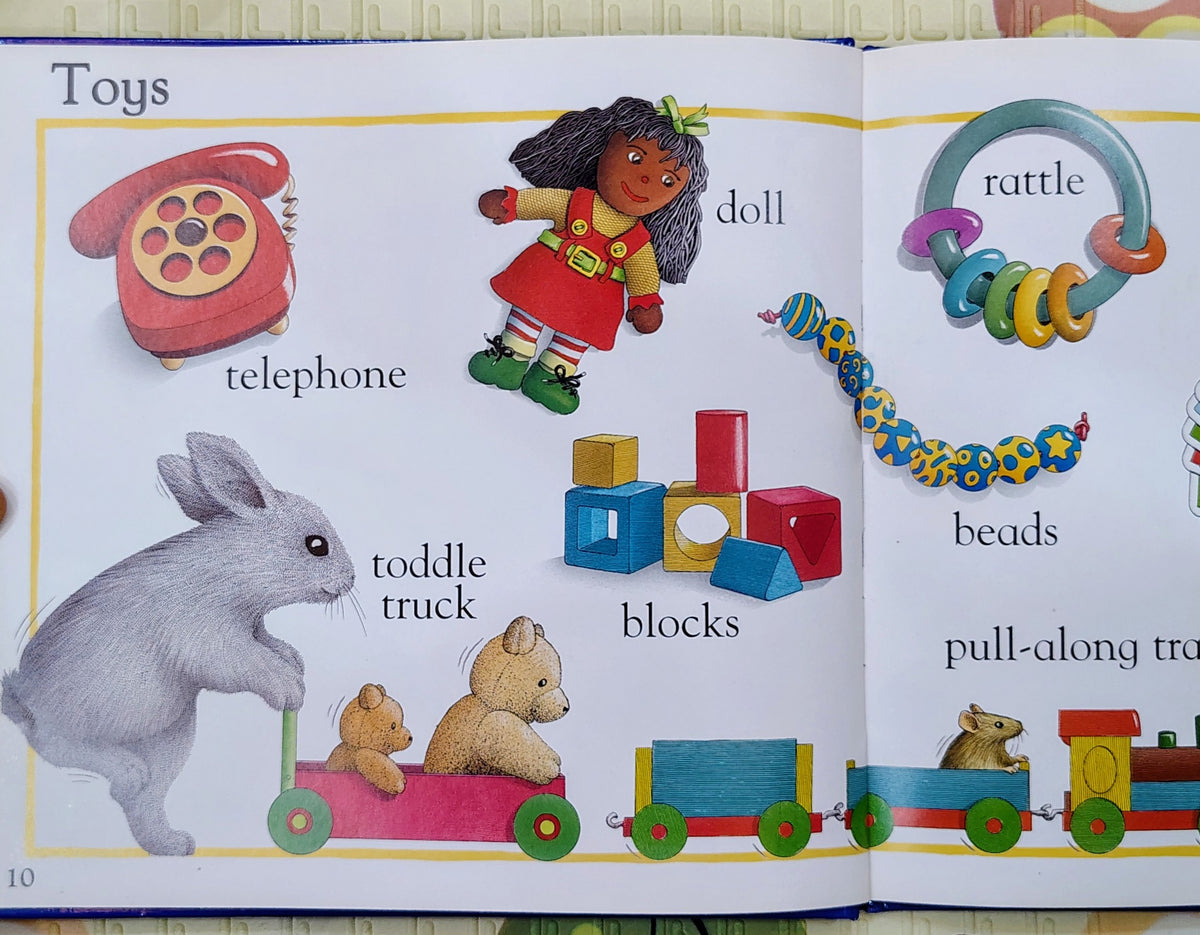 Little Rabbits' Picture Word Book by Alan Baker | Early Learning