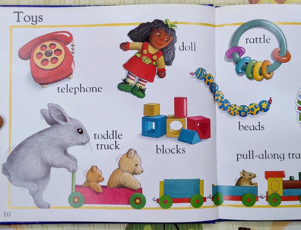 Little Rabbits' Picture Word Book by Alan Baker | Early Learning