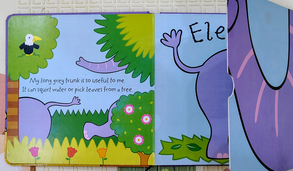 Whose Nose? | Ladybird | Book with Giant Flaps