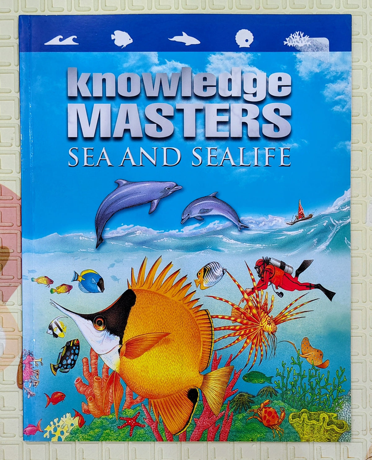 Knowledge Masters: Sea and Sealife | Non-Fiction