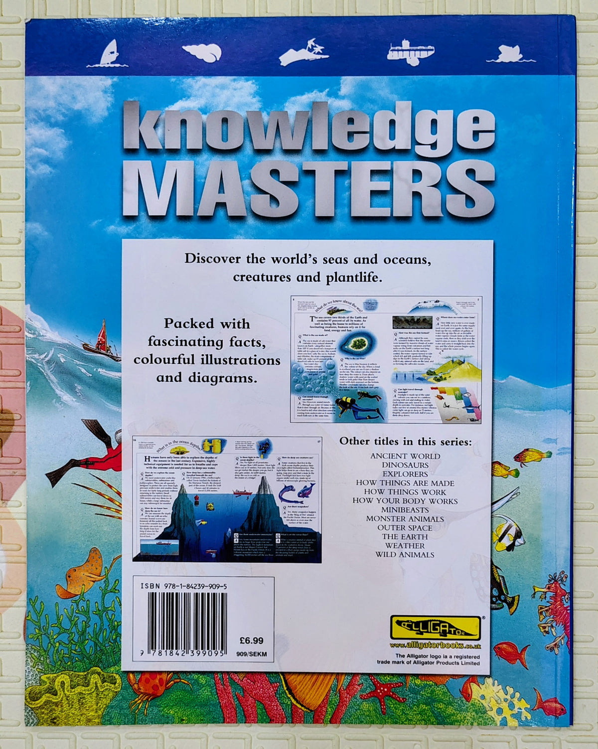 Knowledge Masters: Sea and Sealife | Non-Fiction