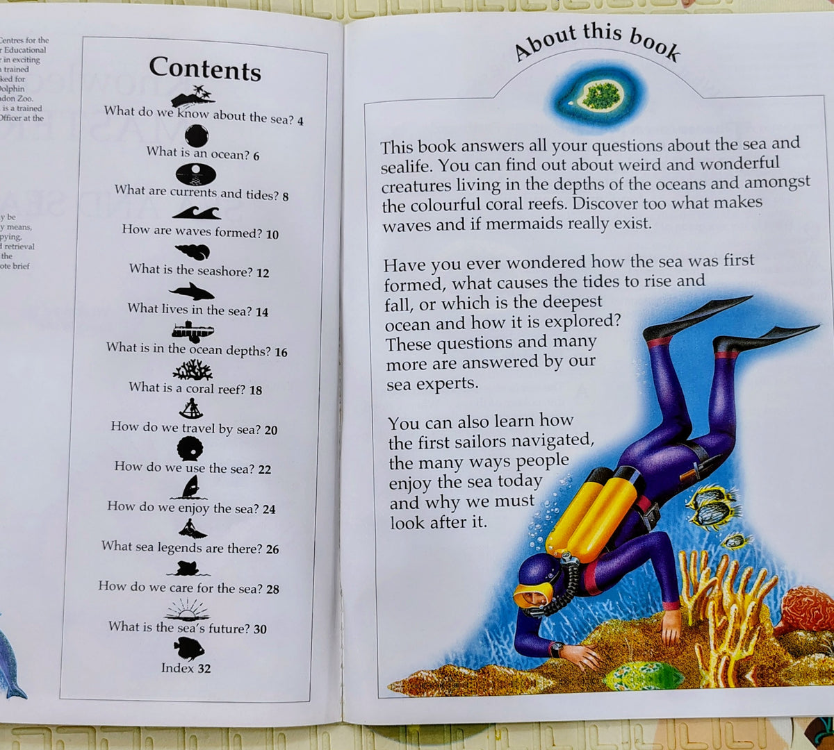 Knowledge Masters: Sea and Sealife | Non-Fiction