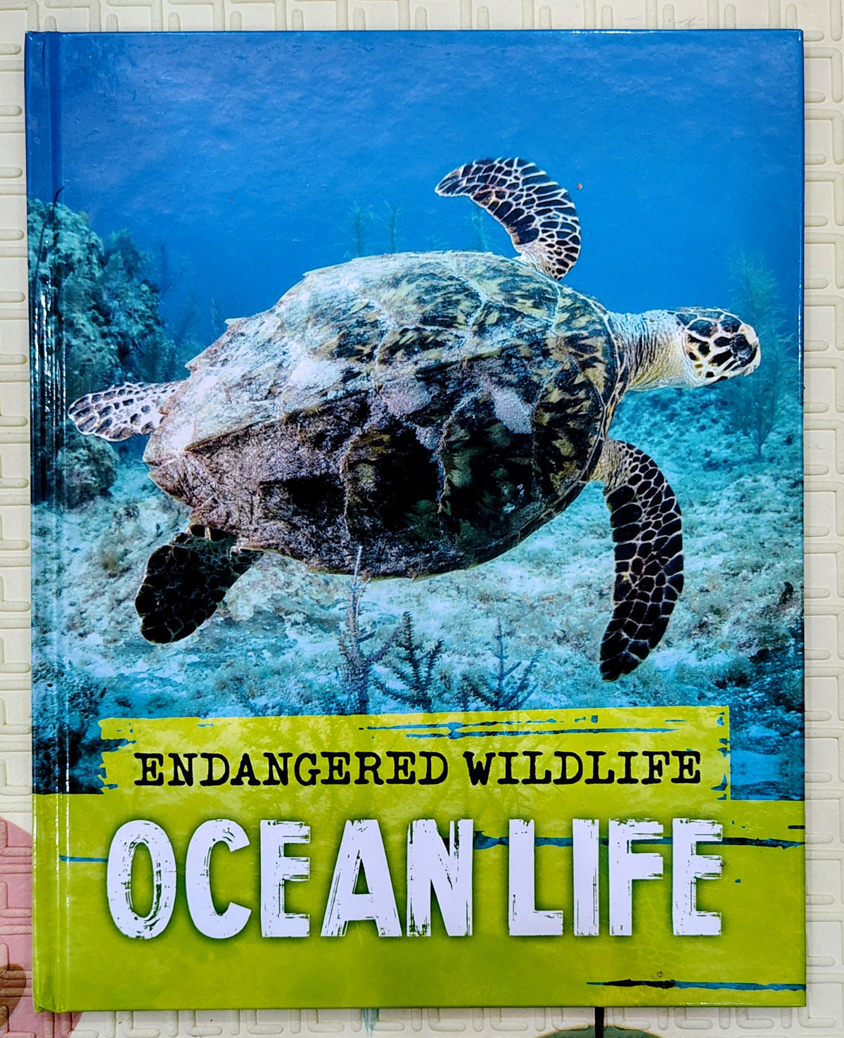 Endangered Wildlife Ocean Life | Wayland Non-Fiction