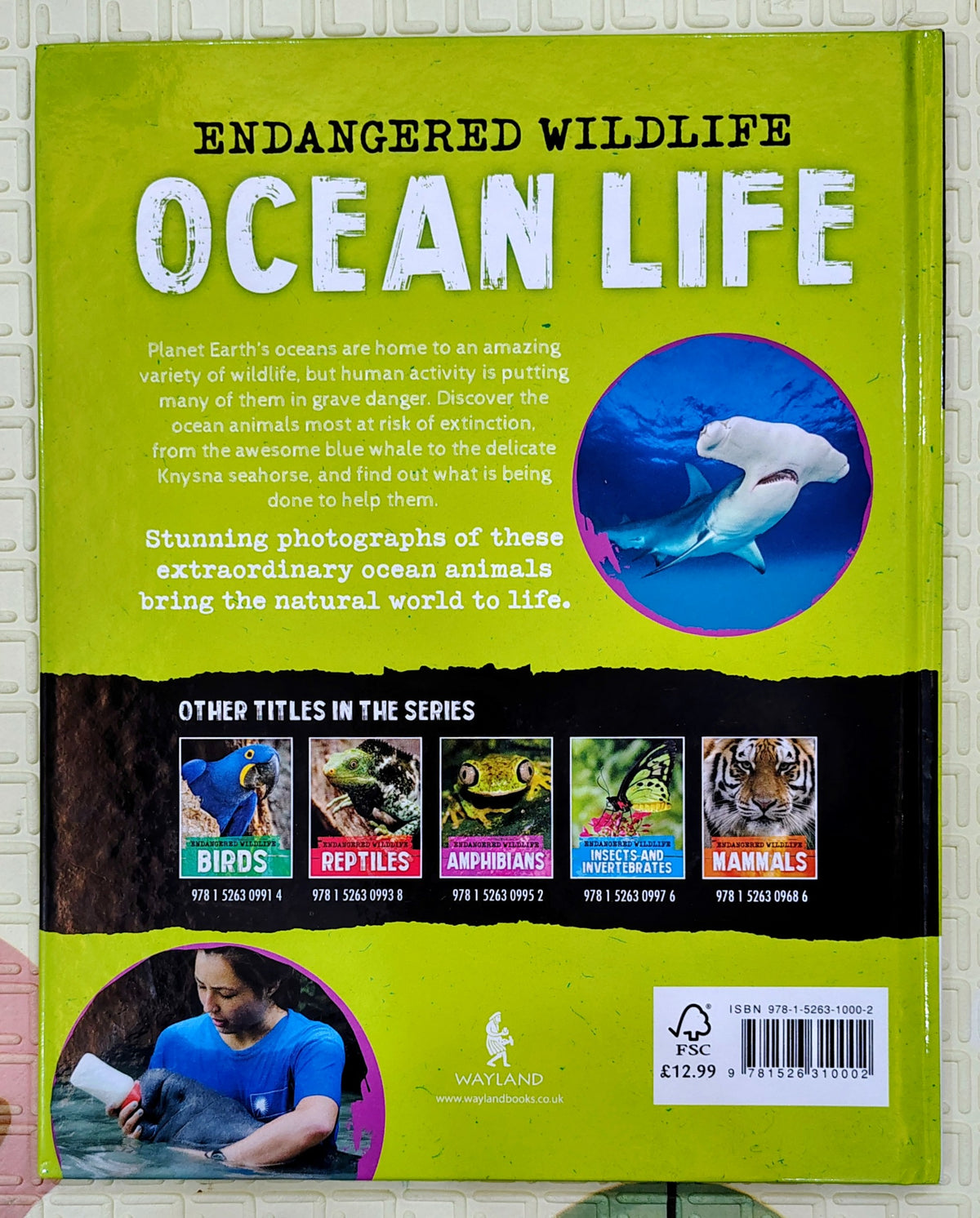 Endangered Wildlife Ocean Life | Wayland Non-Fiction