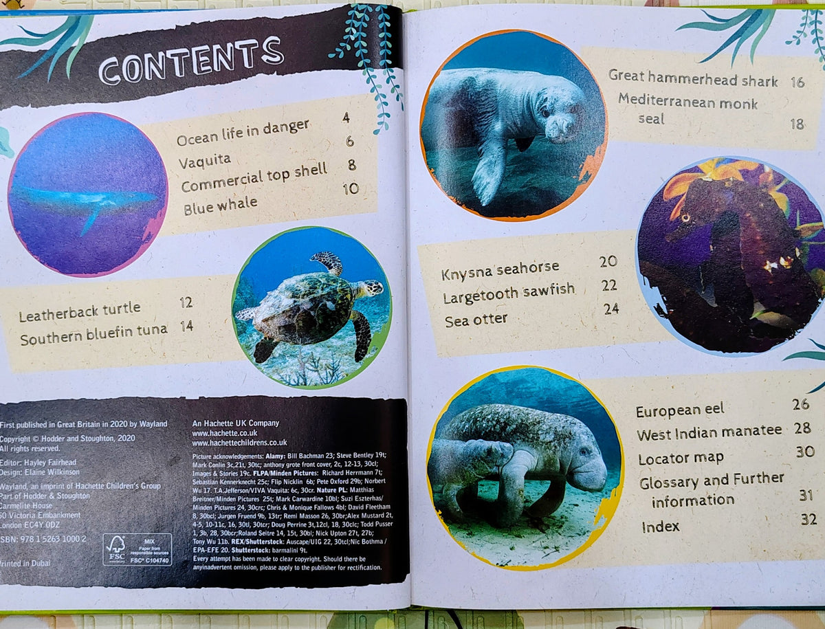 Endangered Wildlife Ocean Life | Wayland Non-Fiction