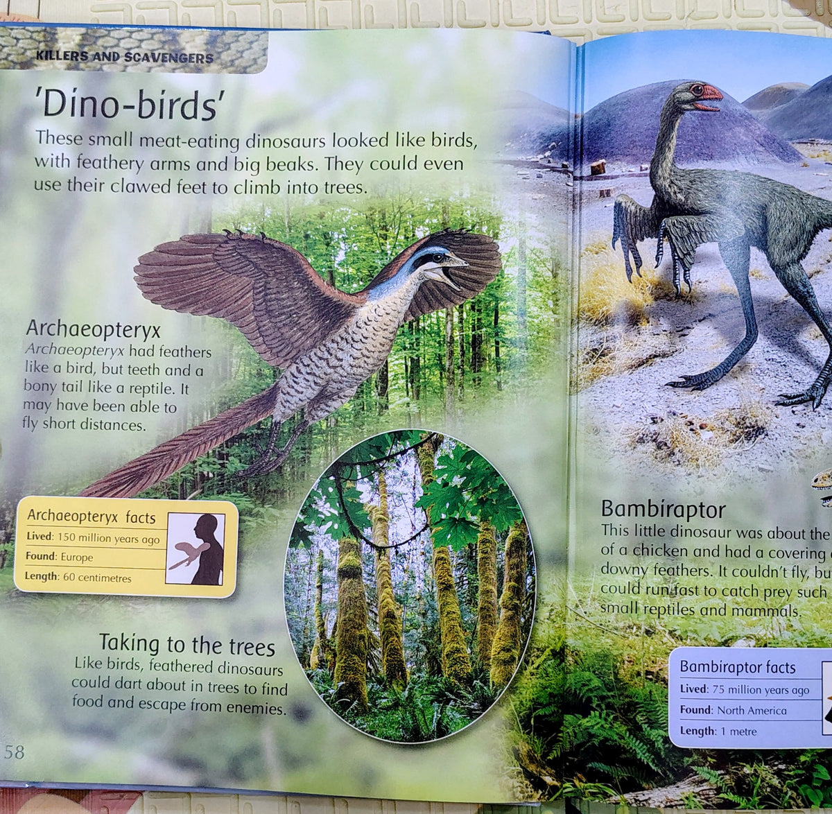 My First Dinosaur Encyclopedia | Parragon