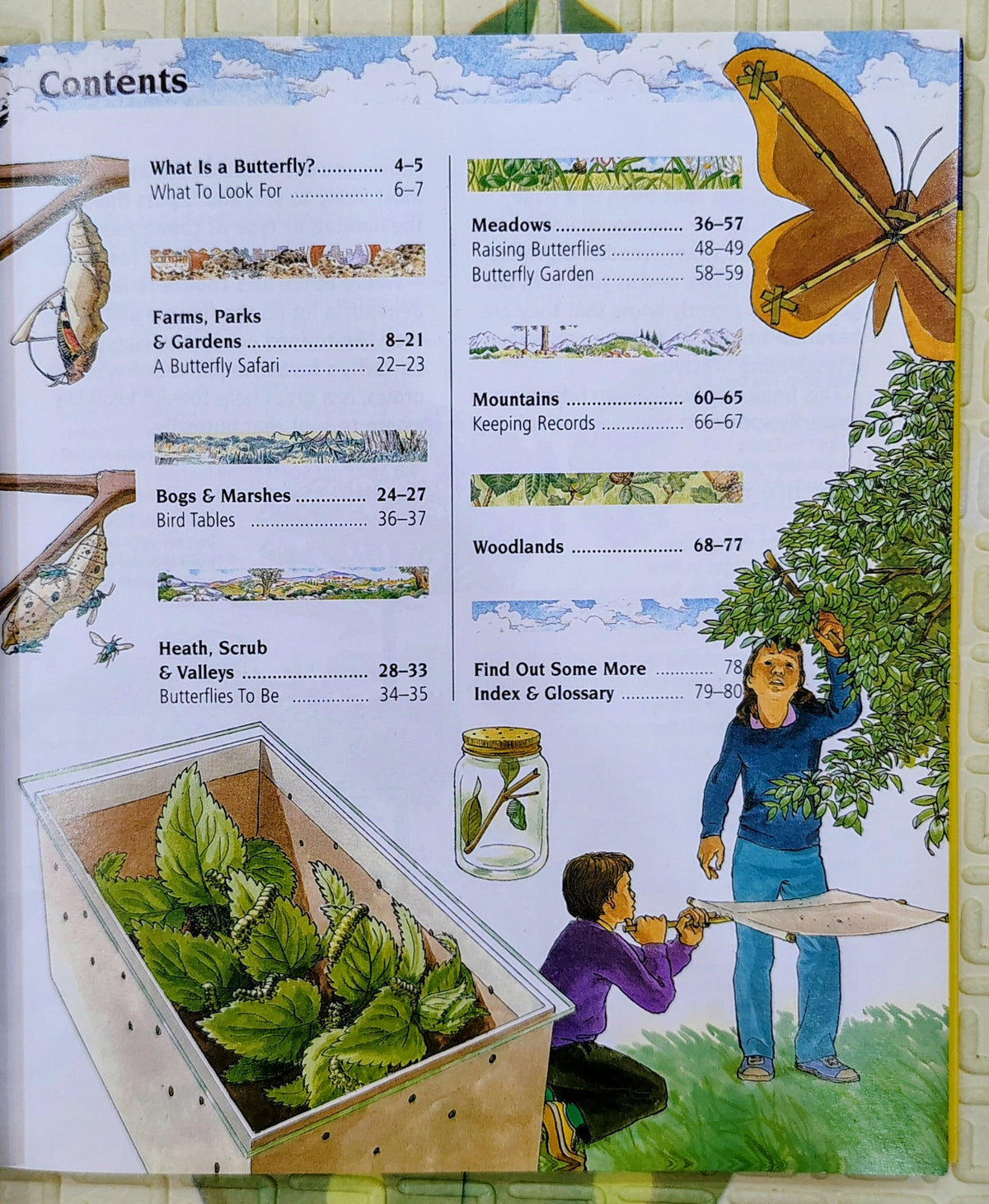 Pocket Spotters Butterflies | Nature Guide | Non-Fiction