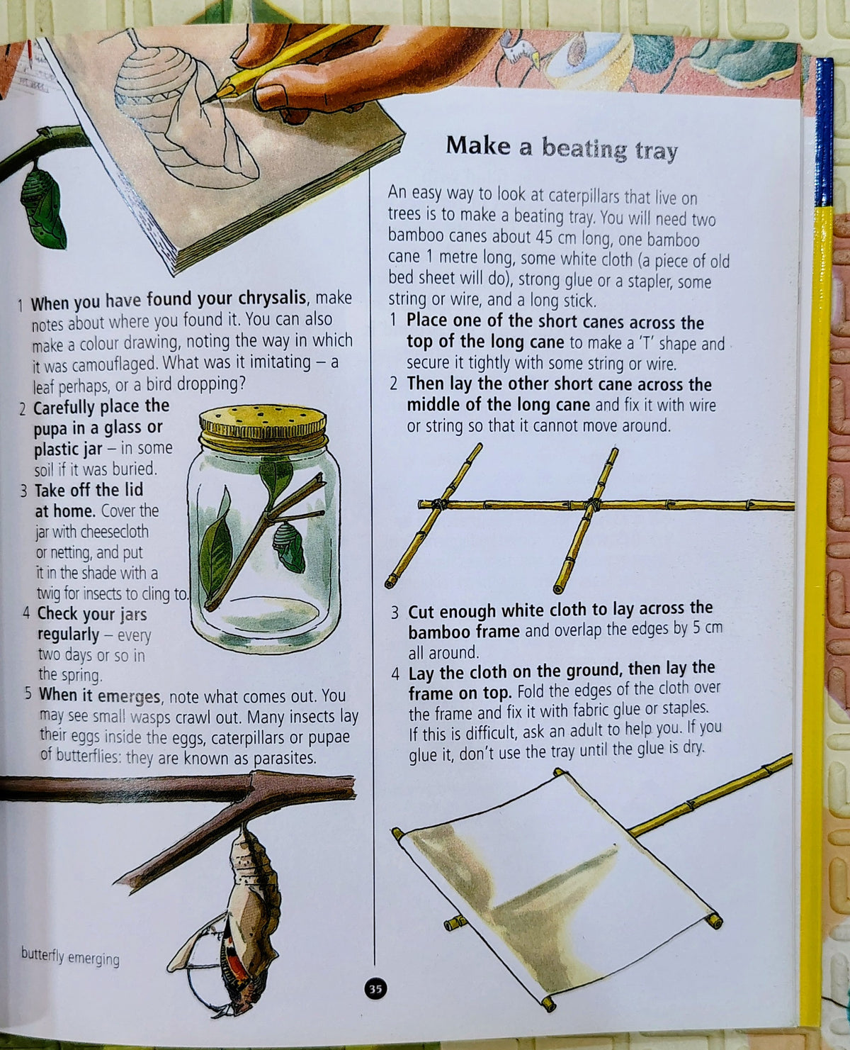 Pocket Spotters Butterflies | Nature Guide | Non-Fiction
