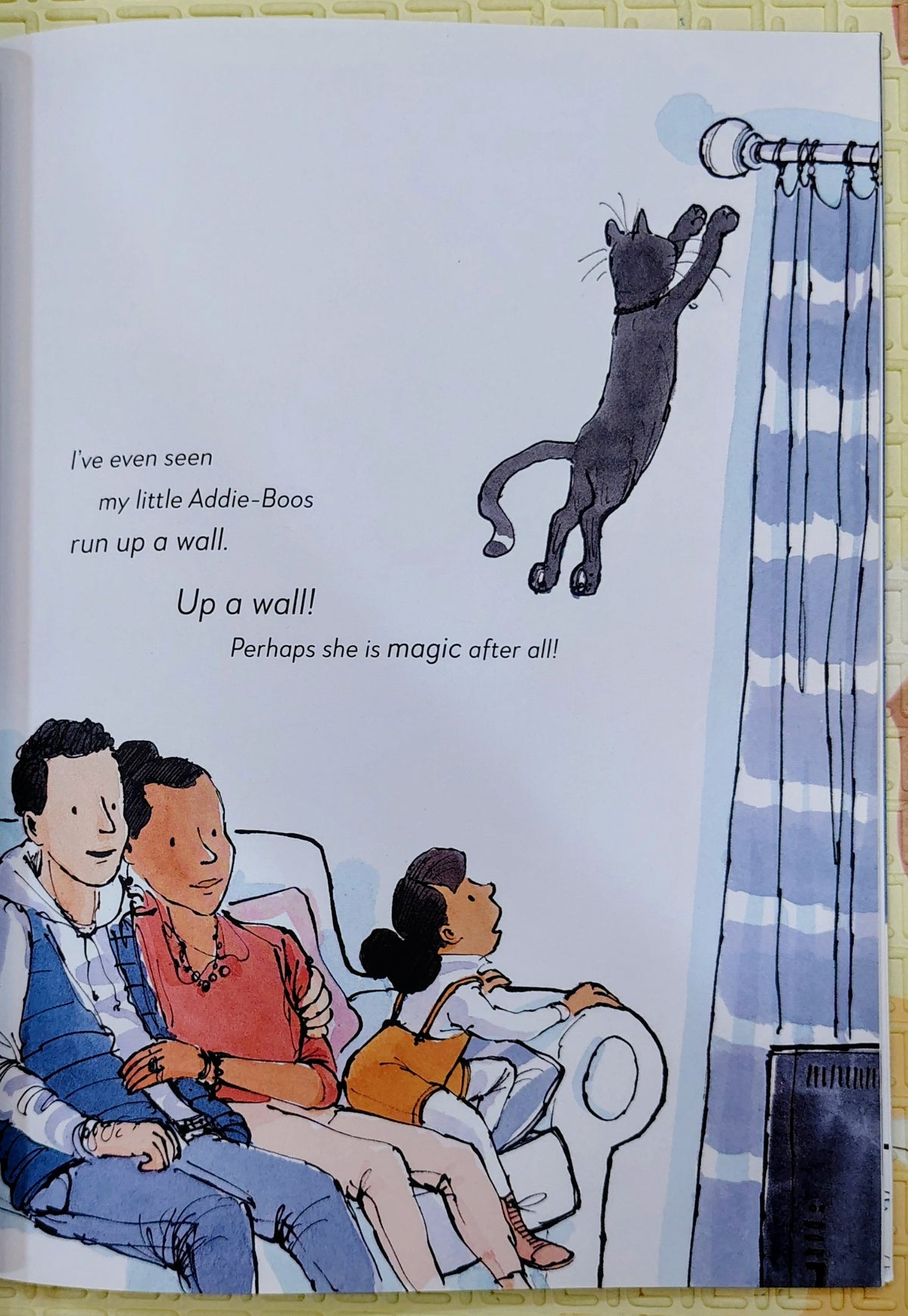 I Love My Cat by Simon Mole & Sam Usher | Frances Lincoln