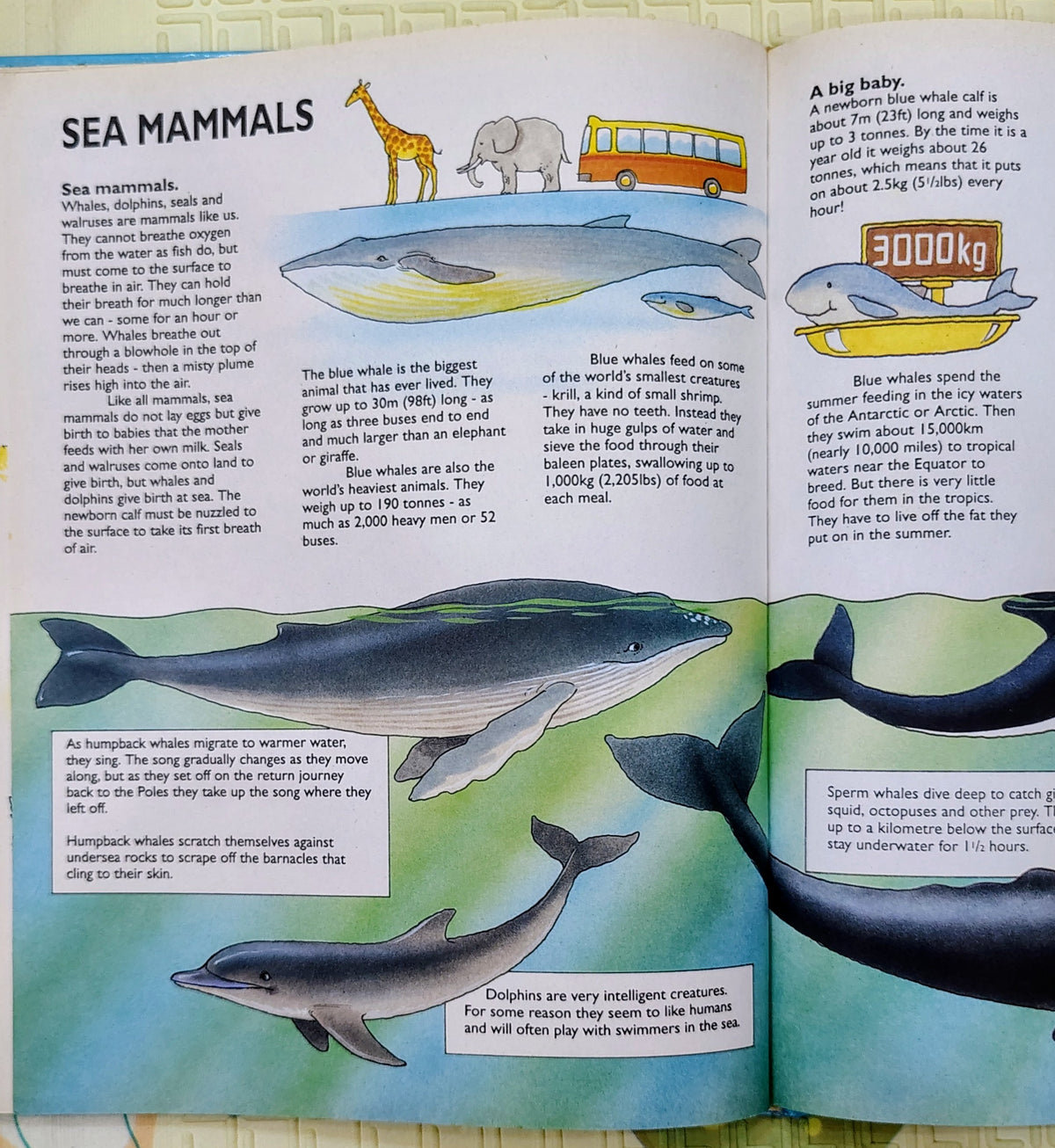 Over 500 Fantastic Facts | Non-Fiction