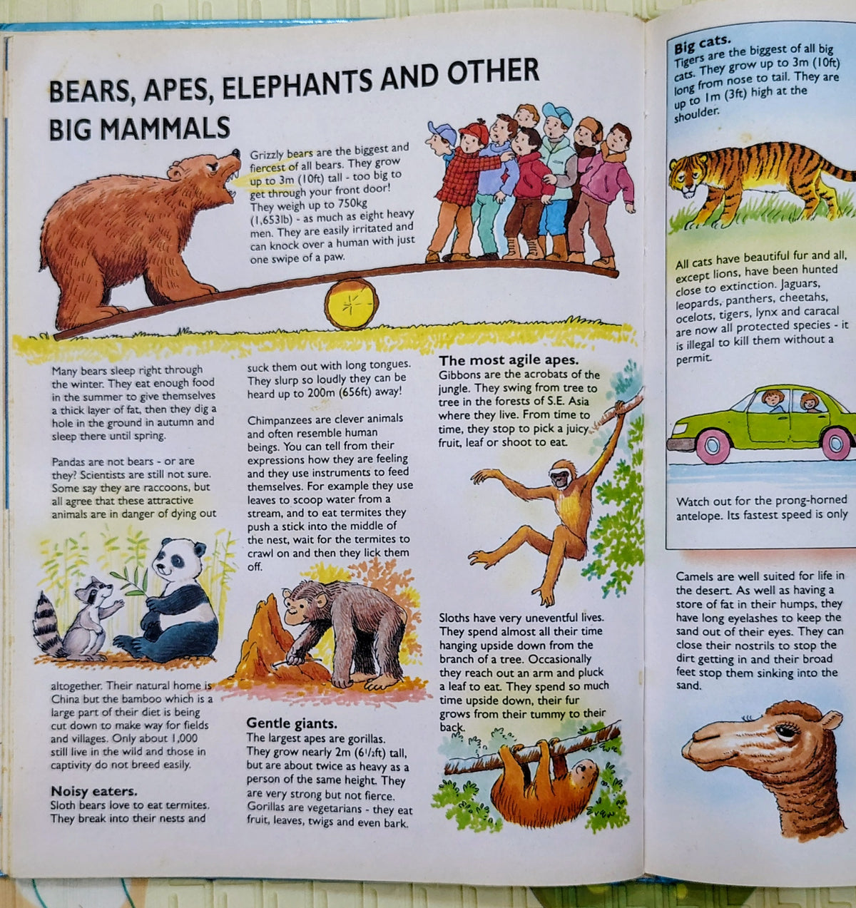 Over 500 Fantastic Facts | Non-Fiction