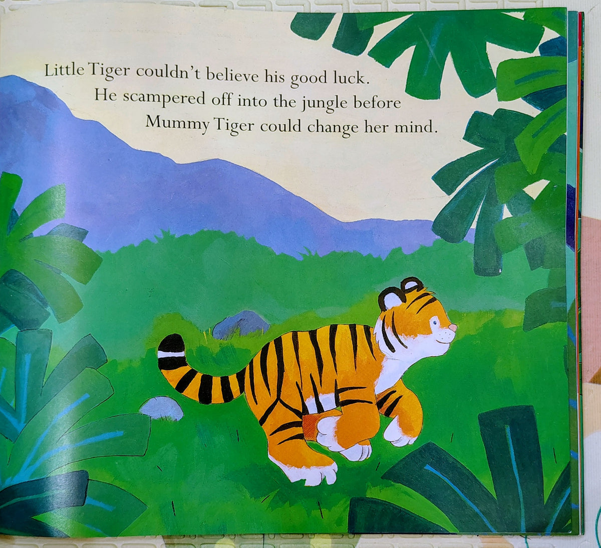 I Don't Want to Go to Bed! by Julie Sykes & Tim Warnes | Tiger Tales | Bedtime Stories