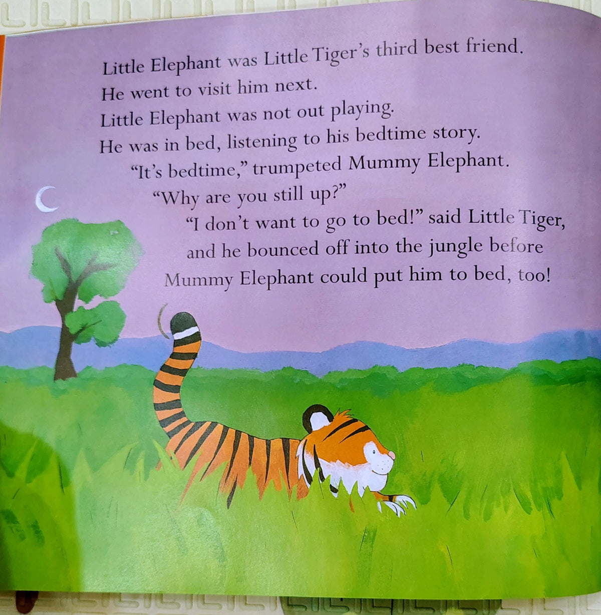 I Don't Want to Go to Bed! by Julie Sykes & Tim Warnes | Tiger Tales | Bedtime Stories