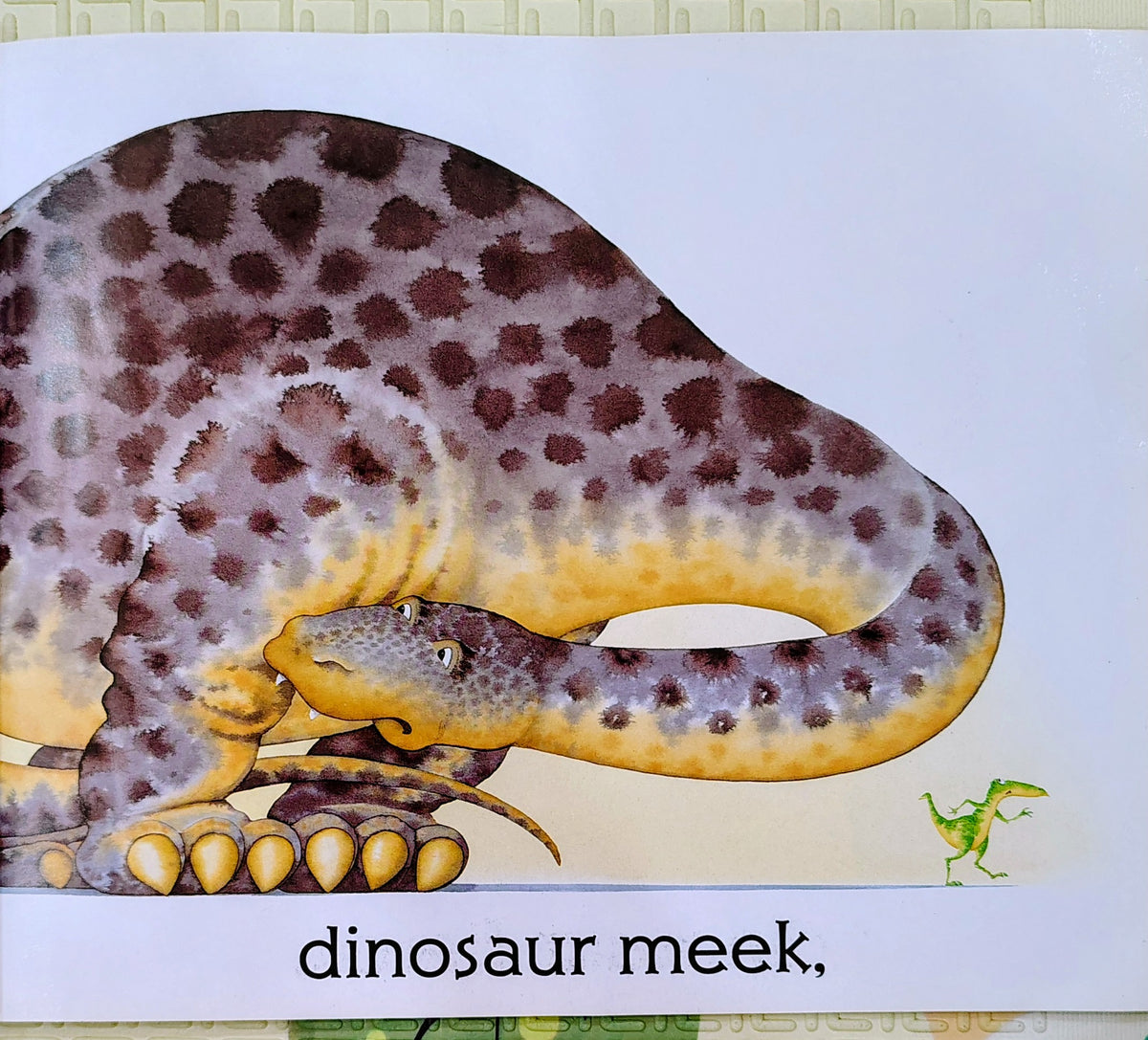 Dinosaur Roar! by Paul & Henrietta Stickland | Ragged Bears