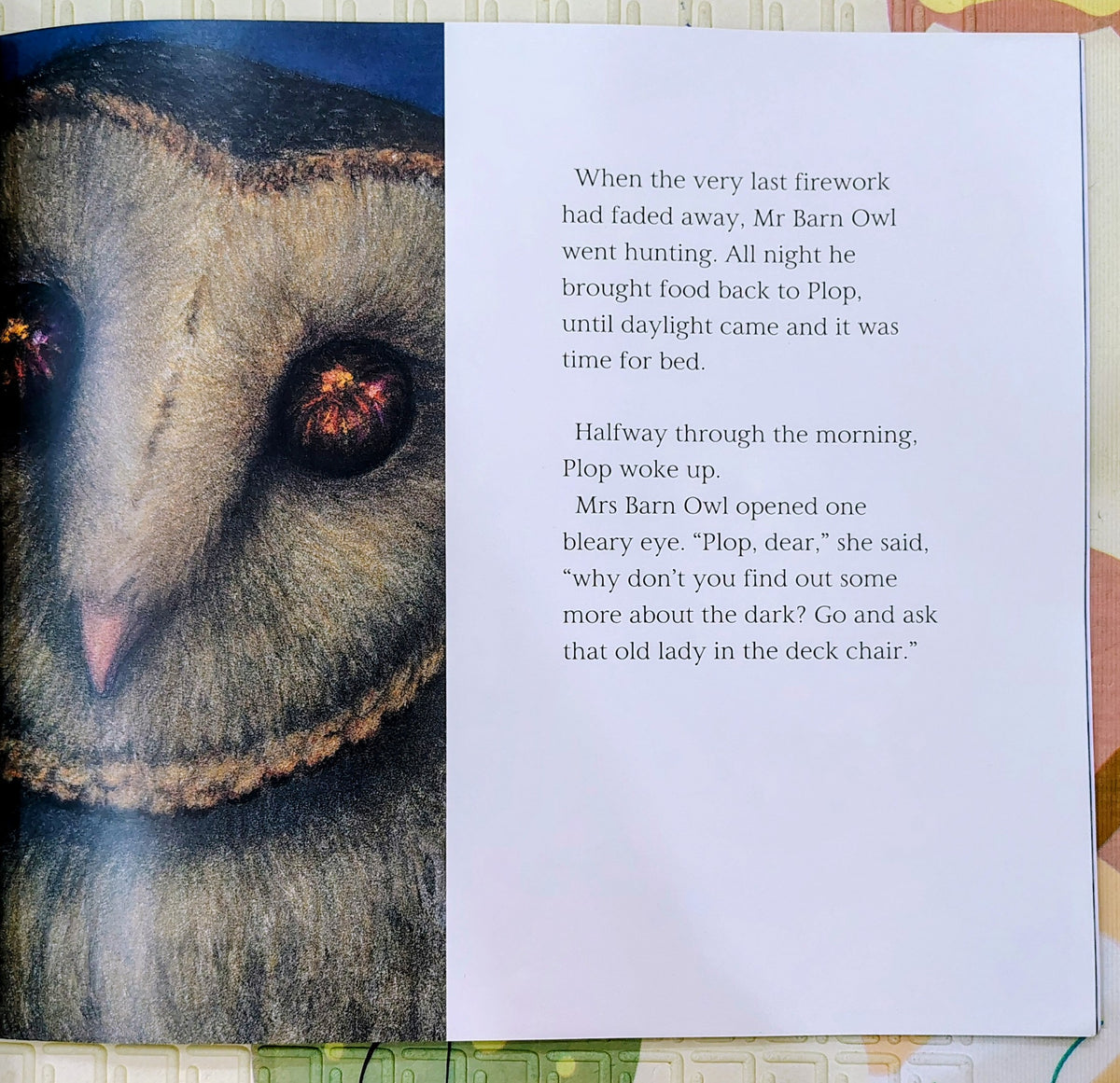 The Owl Who Was Afraid of the Dark by Jill Tomlinson | Farshore