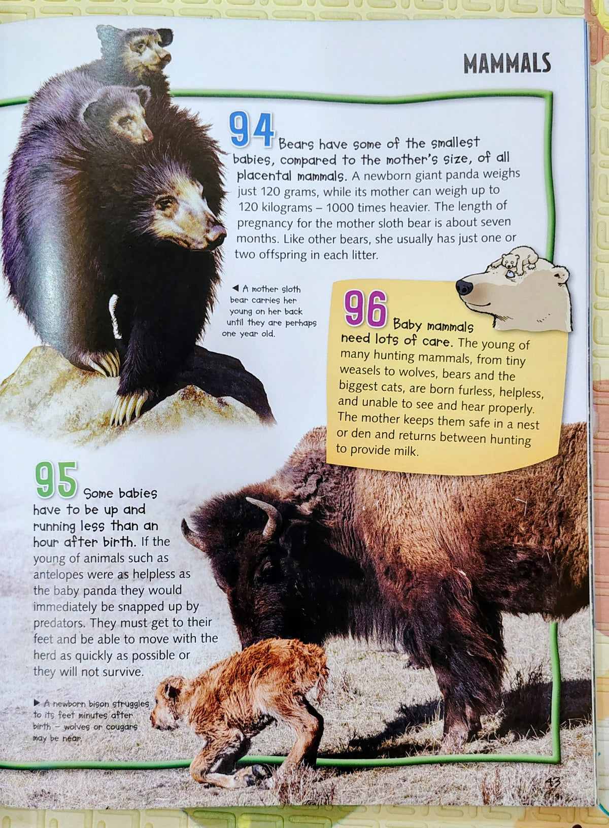 Wild About Animals by Miles Kelly | Non-Fiction