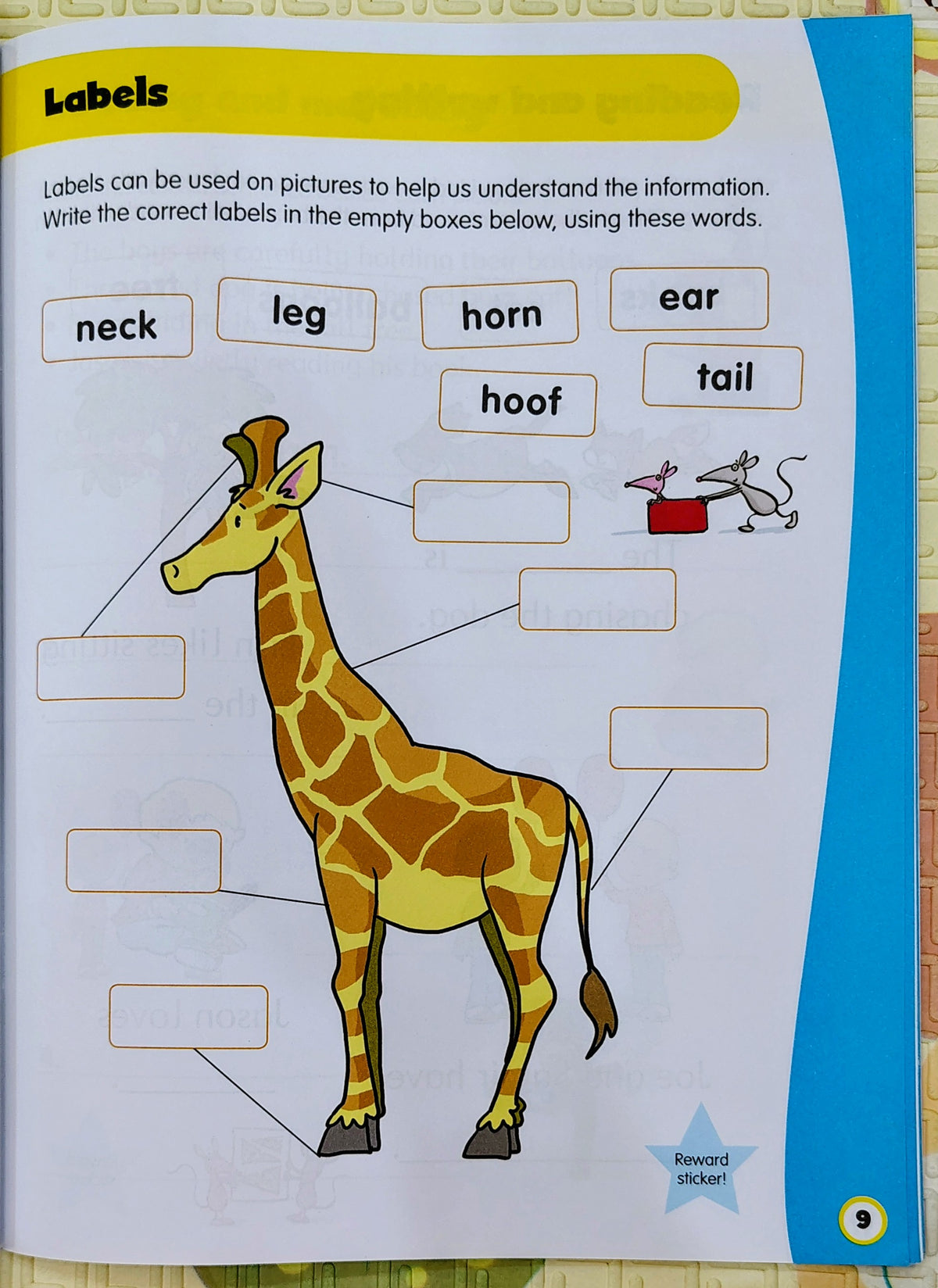 Help with Homework: Reading & Writing by Stage 1 | 5+
