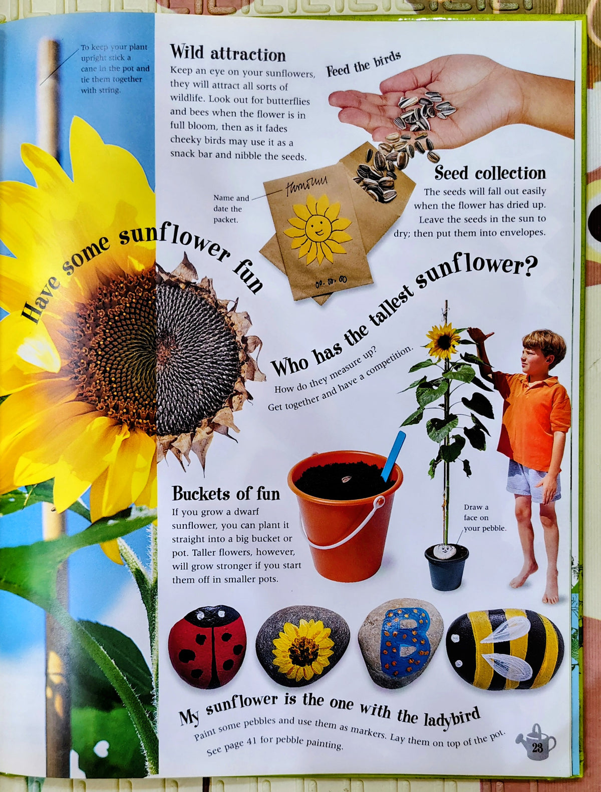 The Gardening Book by Jane Bull | DK | 50 activities