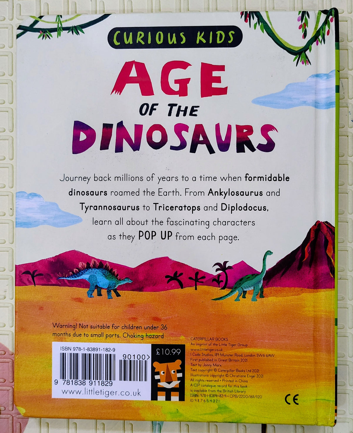 Age of the Dinosaurs by Christiane Engel | Pop up Non fiction