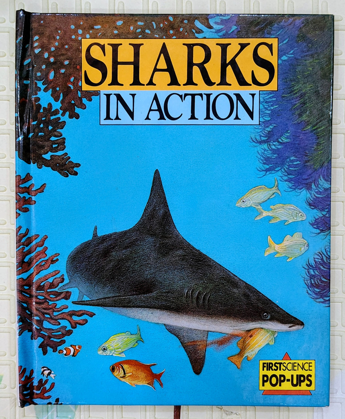 Sharks in Action | First Science Pop-Ups | Educational