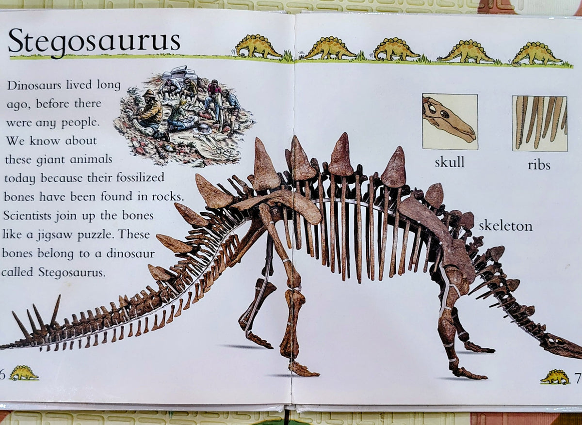 Dinosaurs by Eye Openers | DK | Non-Fiction