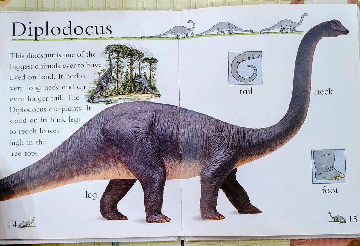 Dinosaurs by Eye Openers | DK | Non-Fiction