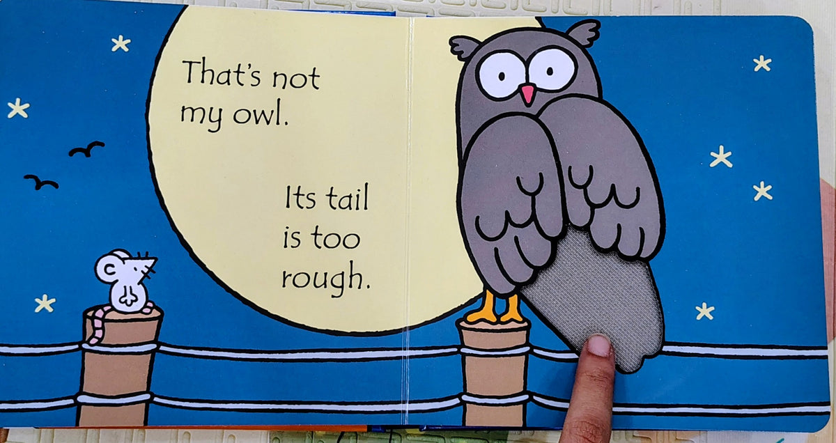 That's Not My Owl by Fiona Watt | Usborne Touch and Feel