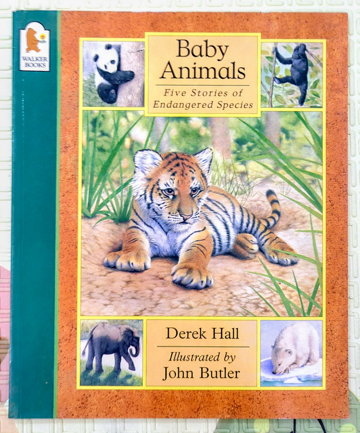 Baby Animals by Derek Hall and John Butler | Walker Books