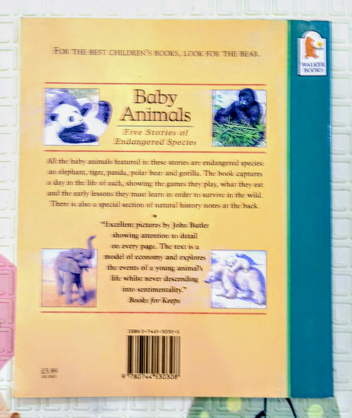 Baby Animals by Derek Hall and John Butler | Walker Books