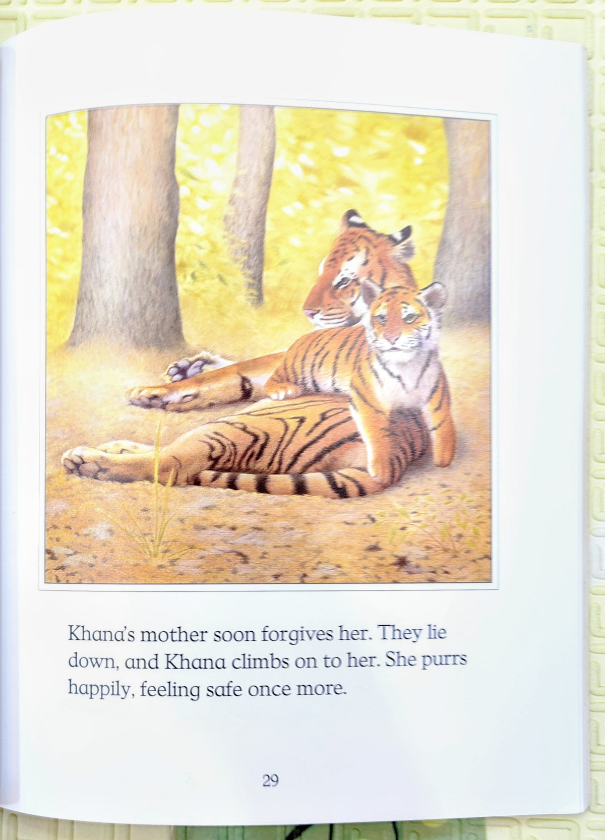Baby Animals by Derek Hall and John Butler | Walker Books