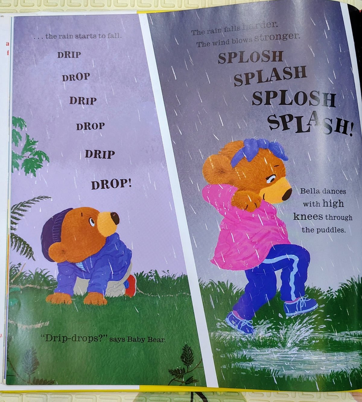 The Burpee Bears by Joe Wicks and Paul Howard