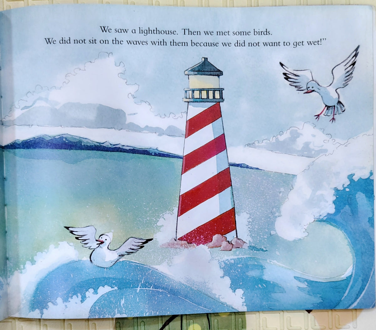 Sammy Goes Flying by Odette Elliott and Georgina McIntyre