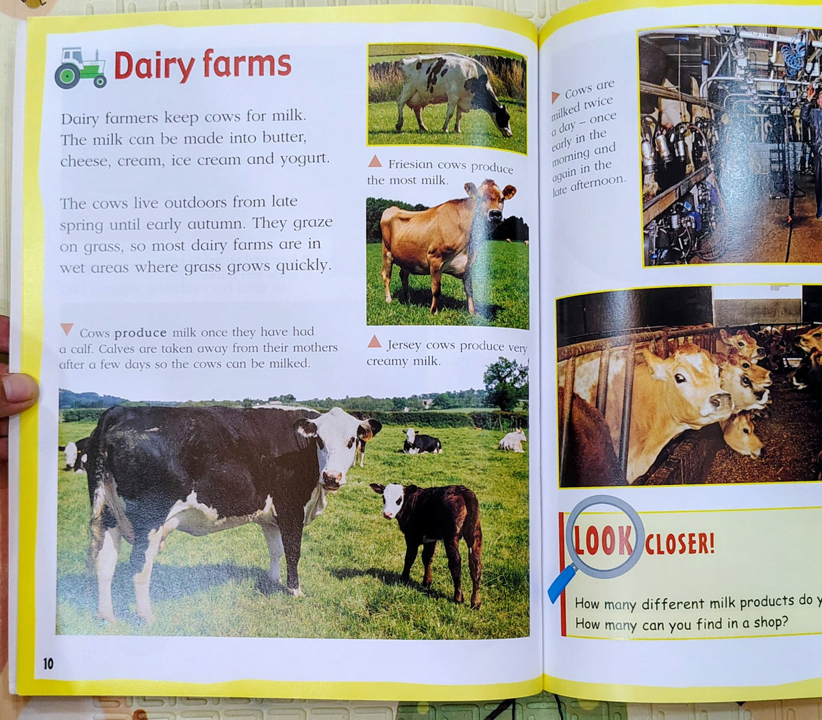 Look Around You: Farm | Wayland Educational