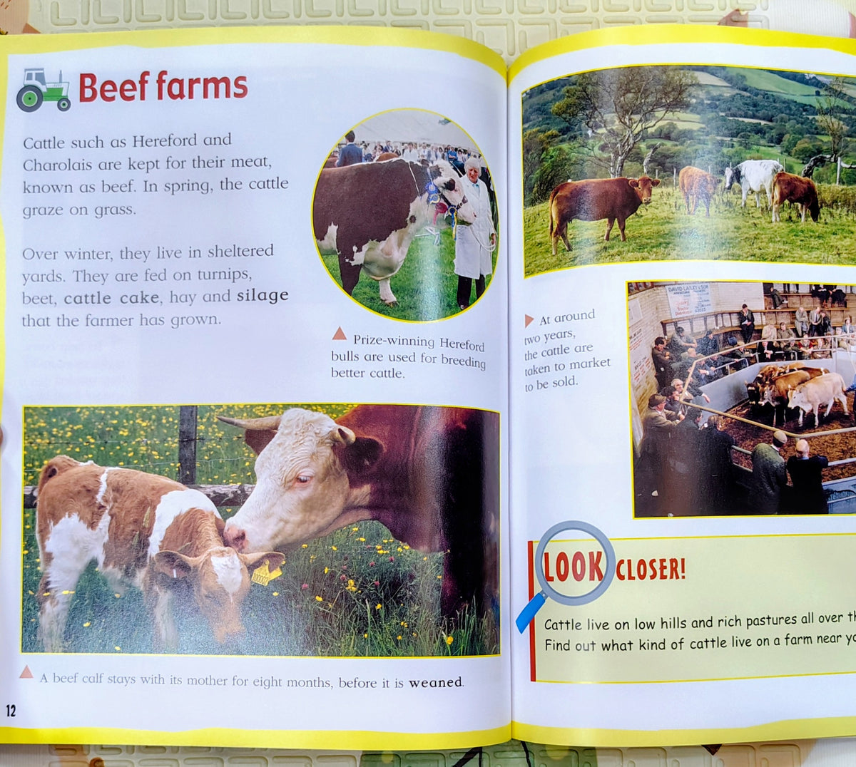 Look Around You: Farm | Wayland Educational