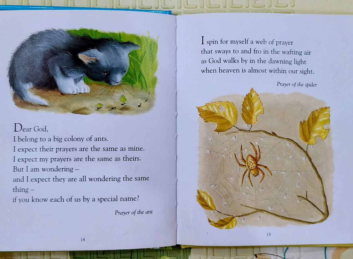 An Arkfull of Animal Prayers by Sophie Piper and Tina Macnaughton | | Religious