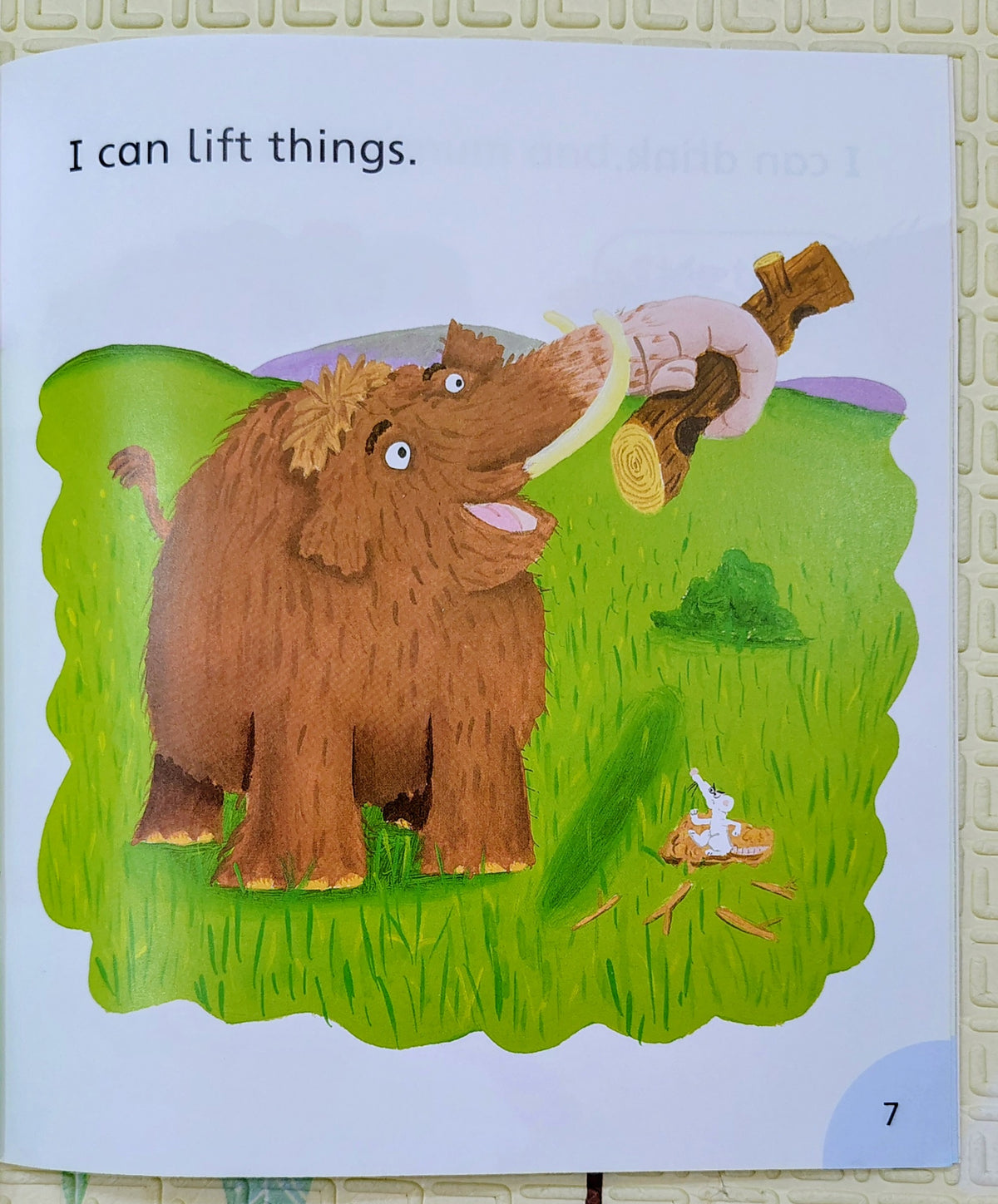 The Trunk and the Skunk by Julia Donaldson | Oxford SongBirds Stage 3
