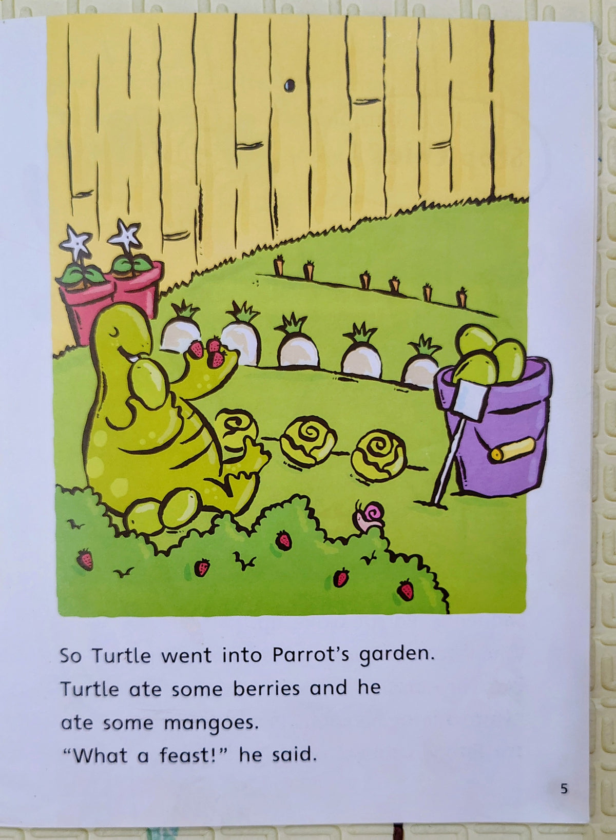 How Turtle Got His Shell by Susan Akass | Rigby Star Book