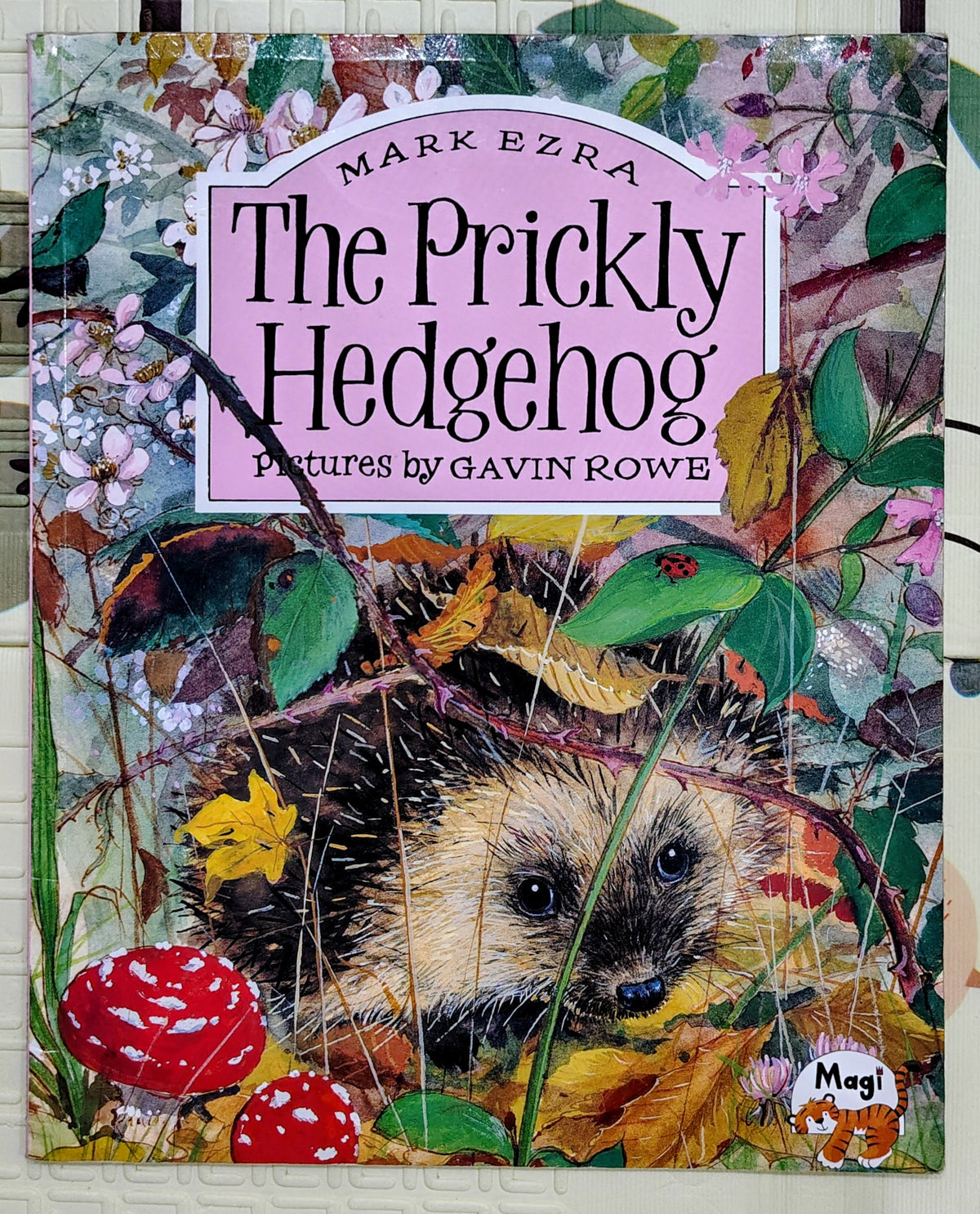 The Prickly Hedgehog by Mark Ezra and Gavin Rowe