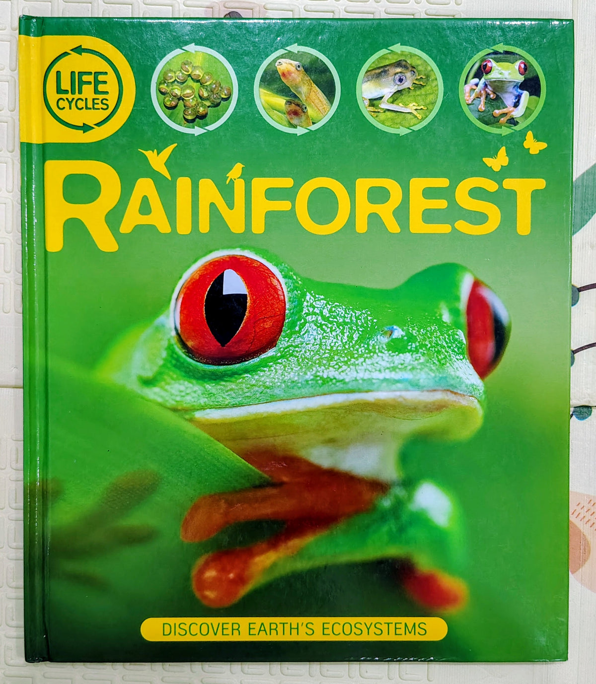 Rainforest (Life Cycles) | Discover Earth's Ecosystems | Kingfisher
