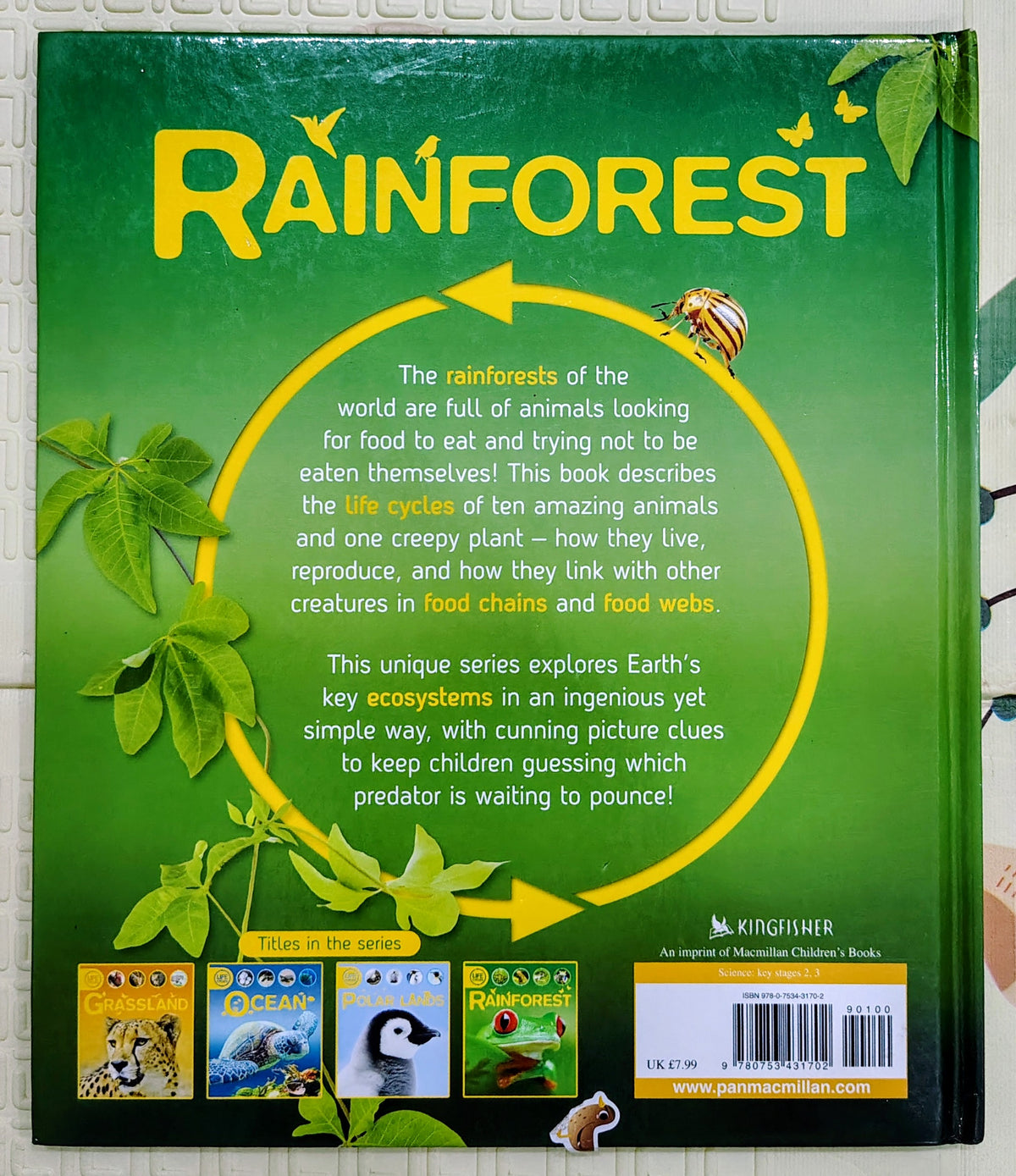 Rainforest (Life Cycles) | Discover Earth's Ecosystems | Kingfisher