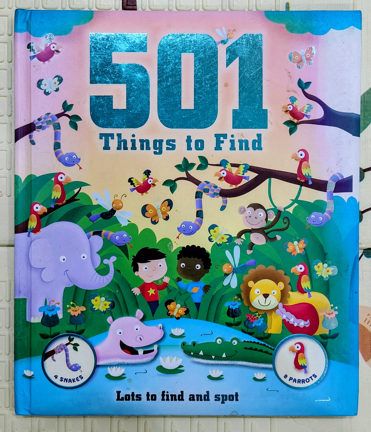 501 Things to Find | Lots to find and spot