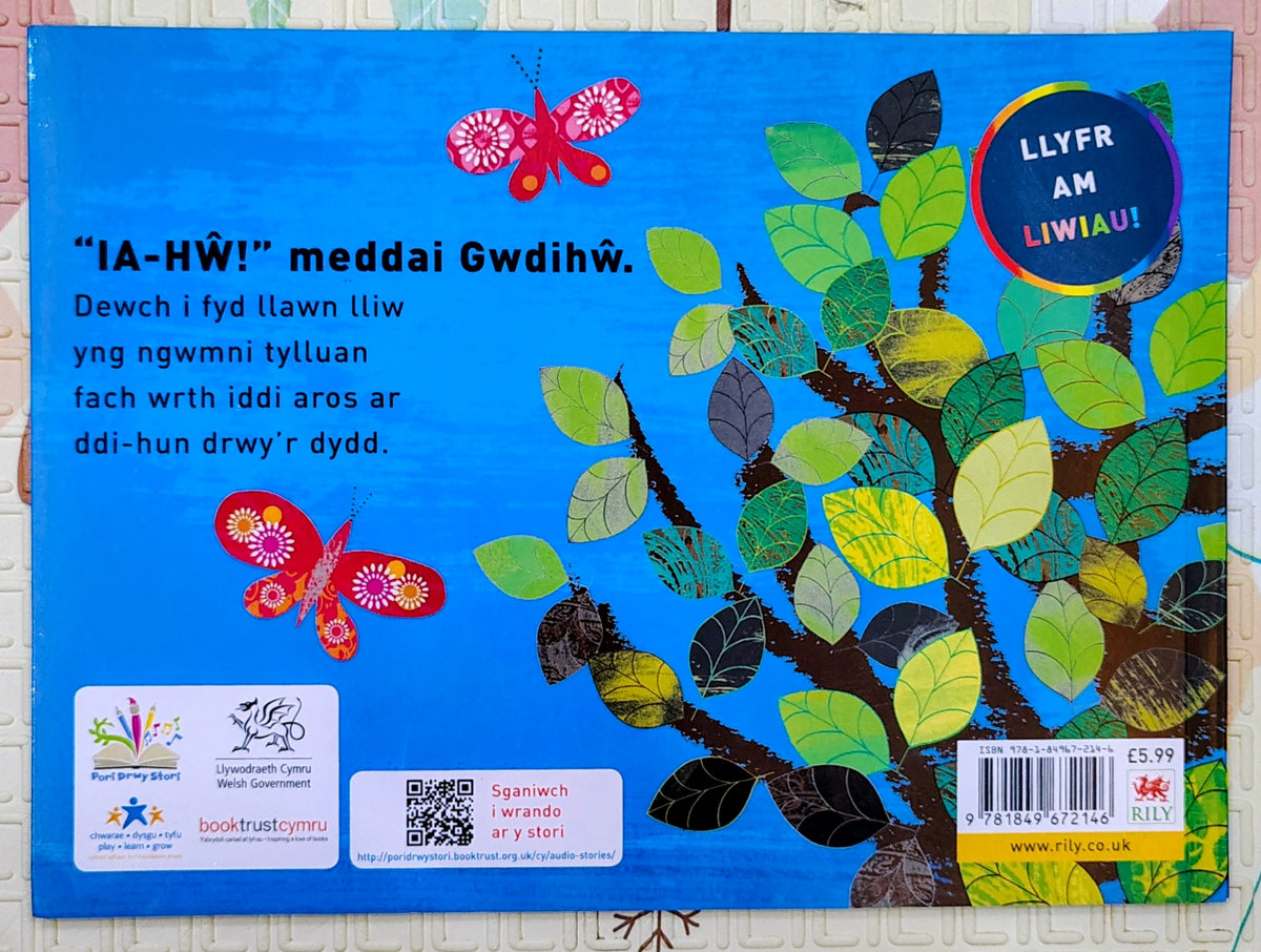 Ia-Hw! Meddai Gwdihw by Tim Hopgood | Story in Welsh Language