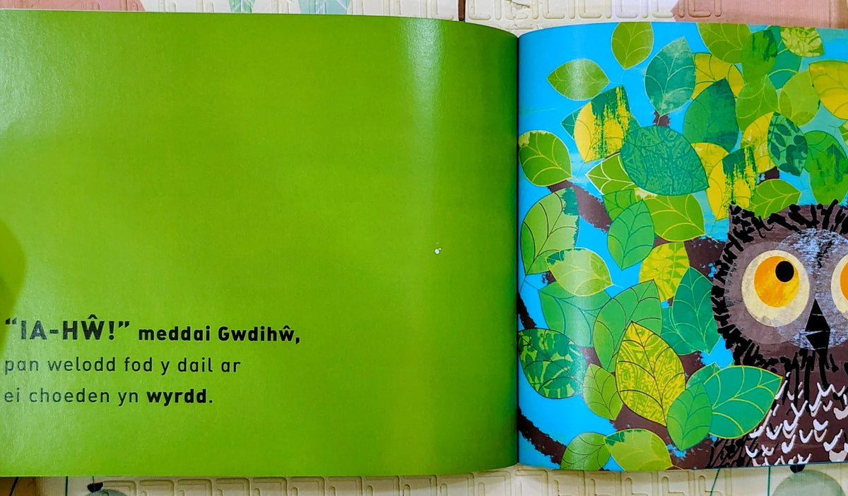 Ia-Hw! Meddai Gwdihw by Tim Hopgood | Story in Welsh Language